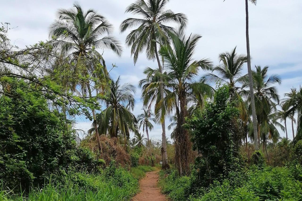 فندق Puerto Caracol جزيرة موكورا المظهر الخارجي الصورة